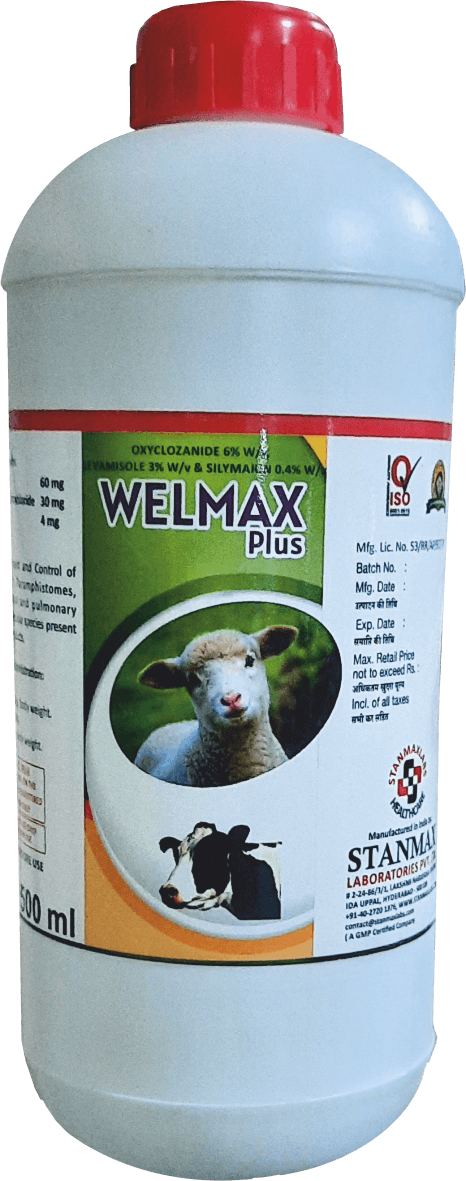 WELMAX PLUS